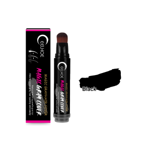EELHOE Disposable Plant Hair Salon Root Touch Up Hair Chalk Hair Dye Pen For Roots, Haircolor Touch-Up Stick To Cover Gray Hair Root For Man And (Color: BLACK)